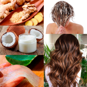2Ginger-e-Aloe-Vera-Gel-Tratamento-para-fazer-o-cabelo-crecser-mais-rapido
